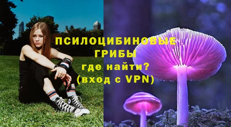 Псилоцибиновые грибы Magic Shrooms  Тырныауз 